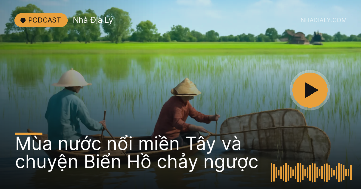 Người dân giăng lưới trên cánh đồng ngập nước mùa nước nổi