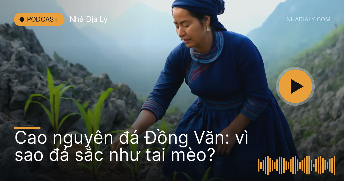 Ruộng ngô xanh len giữa những tảng đá xám sắc nhọn trên sườn núi