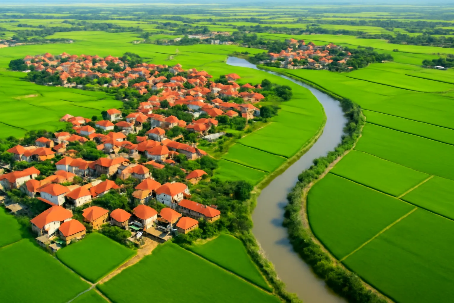 Làng mạc san sát giữa đồng lúa nhìn từ trên cao